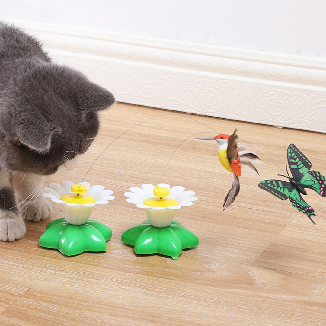 Cat Toy Rotating Butterfly Bird Bee Toys - Cat Toys - DINIBLO 