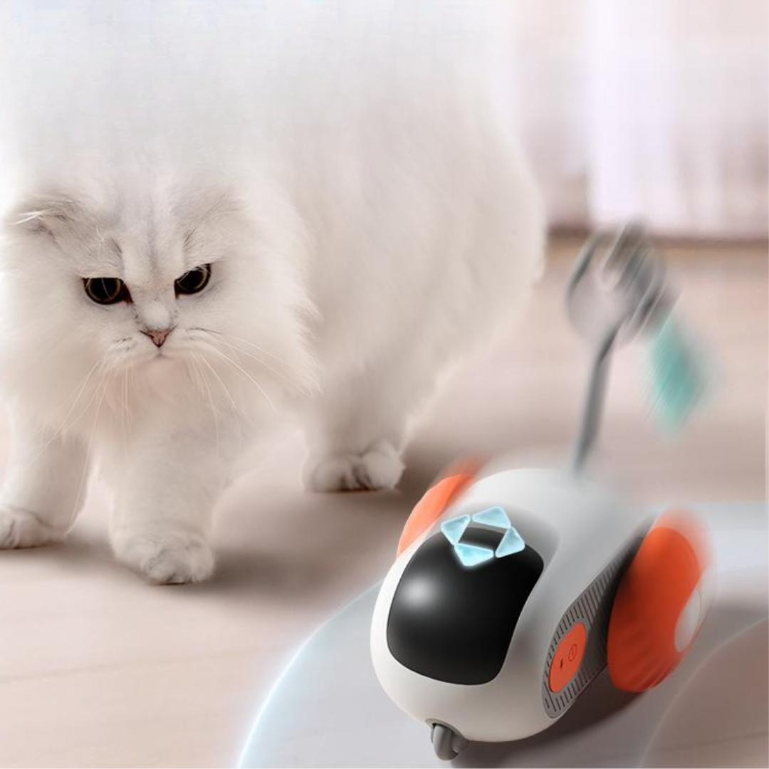 Electric Automatic Racing Car Toys For Cats - Cat Toys - DINIBLO 