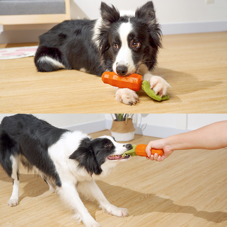 Dog Carrot Crinkle Paper Squeaker Rubber Toys - Dog Toys - DINIBLO 