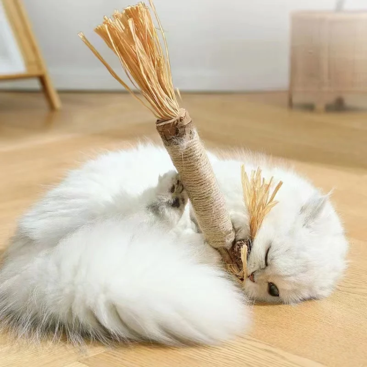 Cat Chewing Catnip Stick Toys - Cat Toys - DINIBLO 