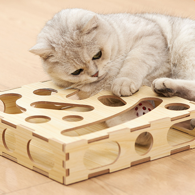 Wooden Maze Box Cat Ball Toys - Cat Toys - DINIBLO 