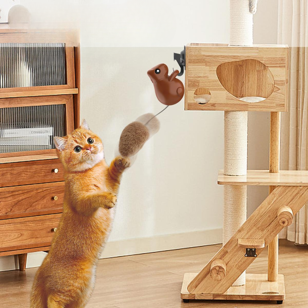 Interactive Hanging Squirrel Cat Teaser Toys - Cat Toys - DINIBLO 