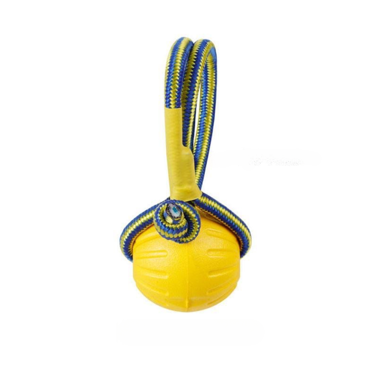 Dog Chew Ring Ball Toys - dog toy - DINIBLO 