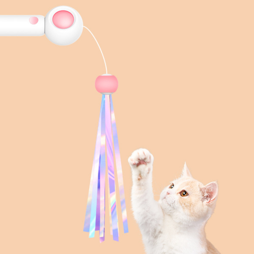 Cat Teaser Wand Toys With Laser Lights - Cat Toys - DINIBLO 