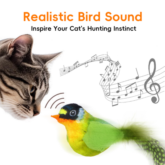 Realistic Bird Sound Interactive Cat Toys With Feather - Cat Toys - DINIBLO 