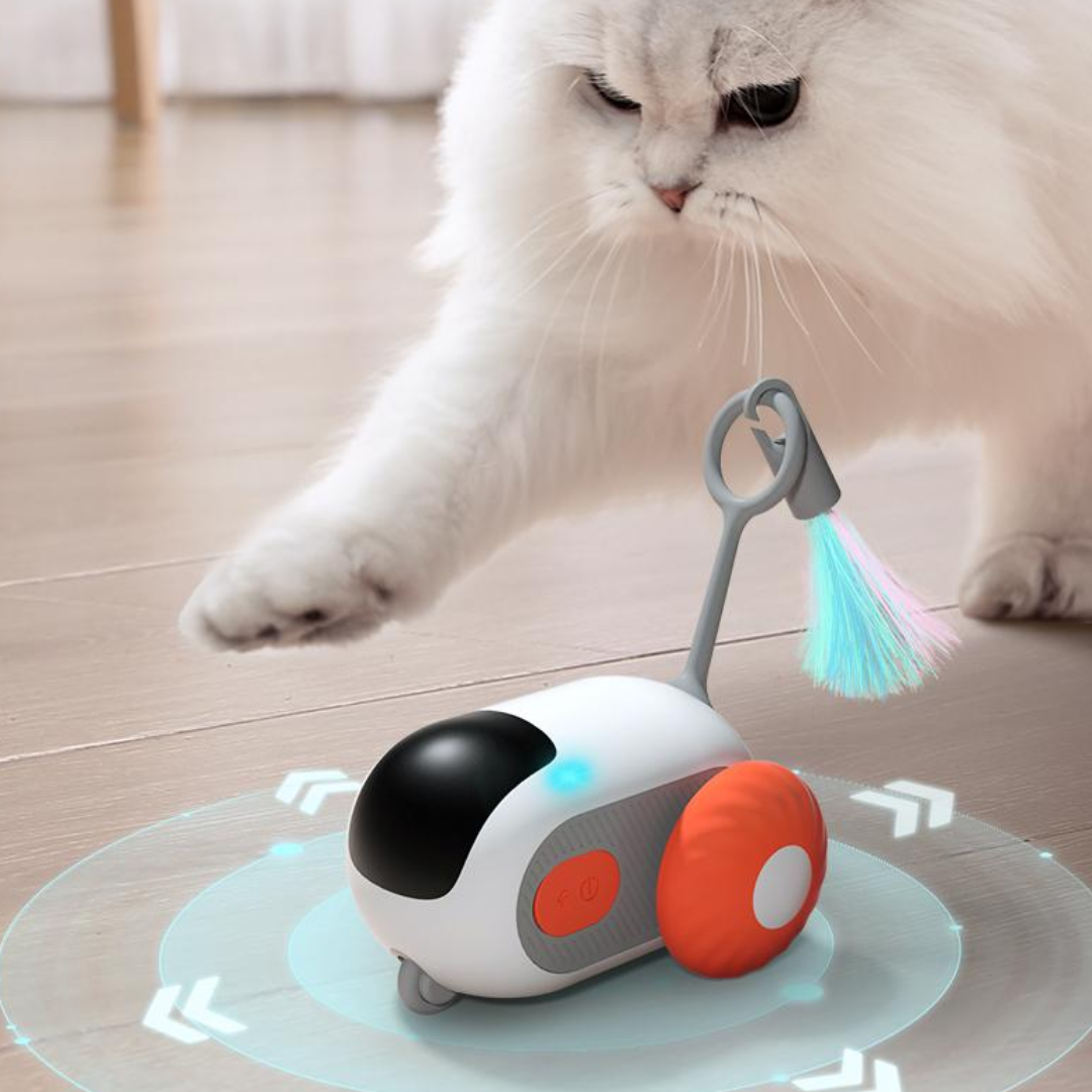 Electric Automatic Racing Car Toys For Cats - Cat Toys - DINIBLO 