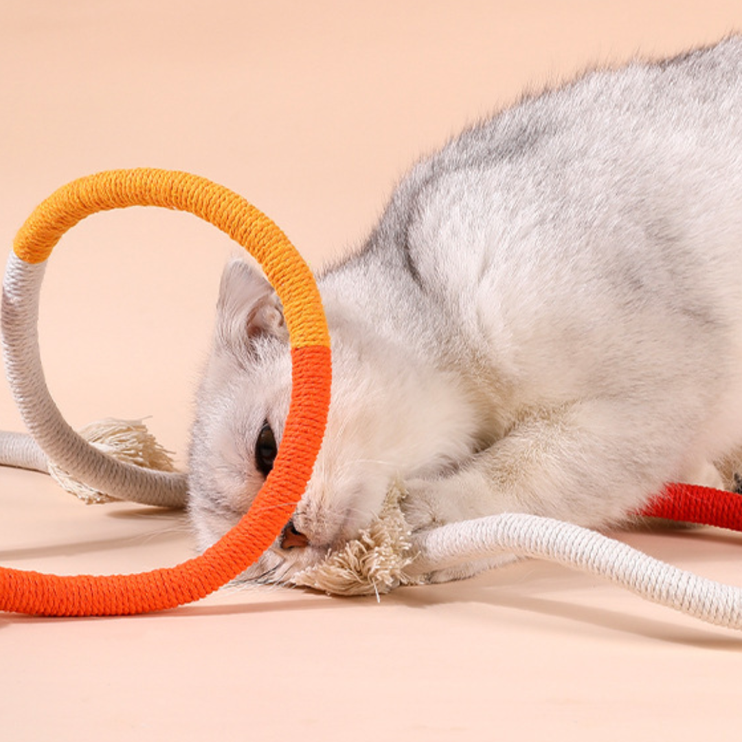 Interactive Cat Rope Chew Toys - Cat Toys - DINIBLO 