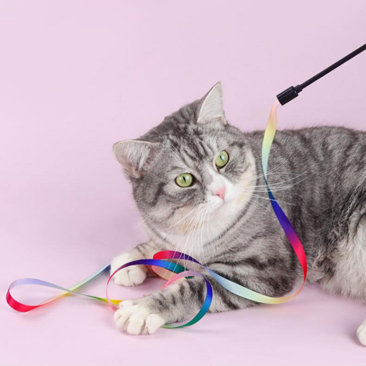 Rainbow Ribbon Cat Teaser Toy - Cat Toys - DINIBLO 