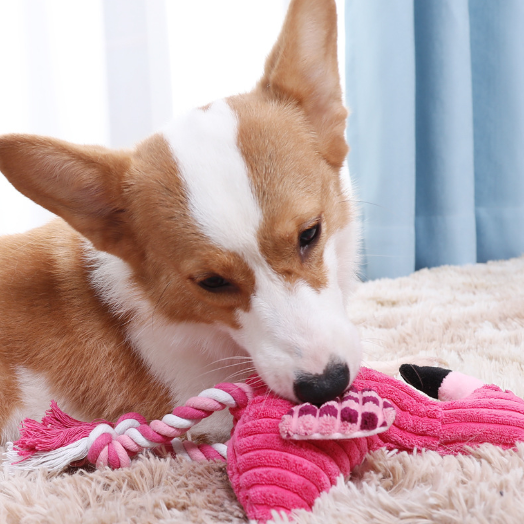 Squeaker Plush Dog Toys Flamingo - Dog Toys - DINIBLO 