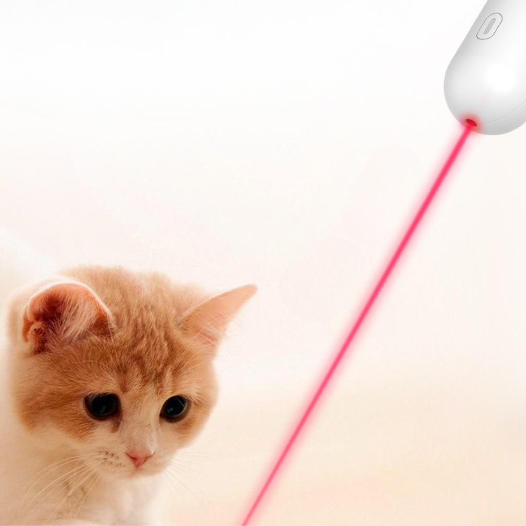 Cat Teaser Wand Toys With Laser Lights - Cat Toys - DINIBLO 