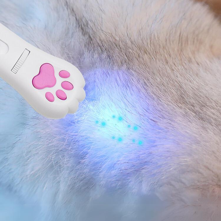 Laser Light Toys For Cat Kittens - Cat Toys - DINIBLO 