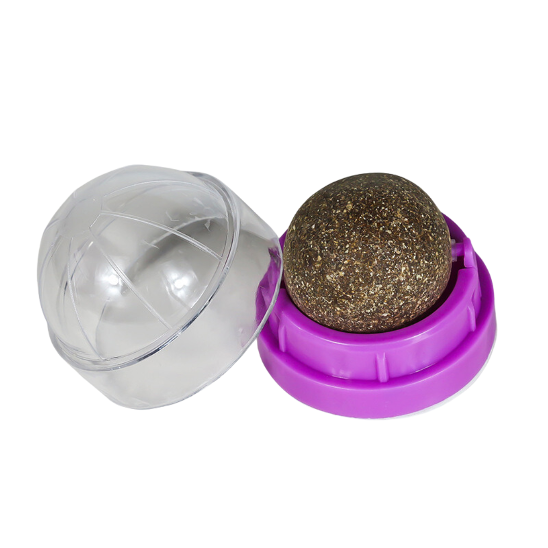 Round Spinning Catnip Treats Ball Toys - Cat Toys - DINIBLO 