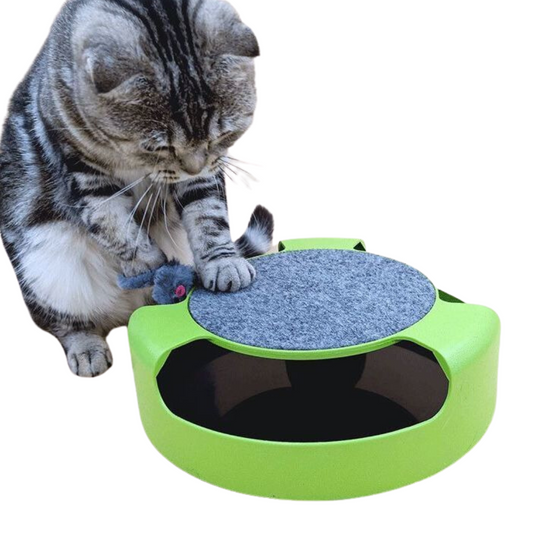 Interactive Cat Toy Mouse Chasing for Indoor Cats - Cat Toys - DINIBLO 