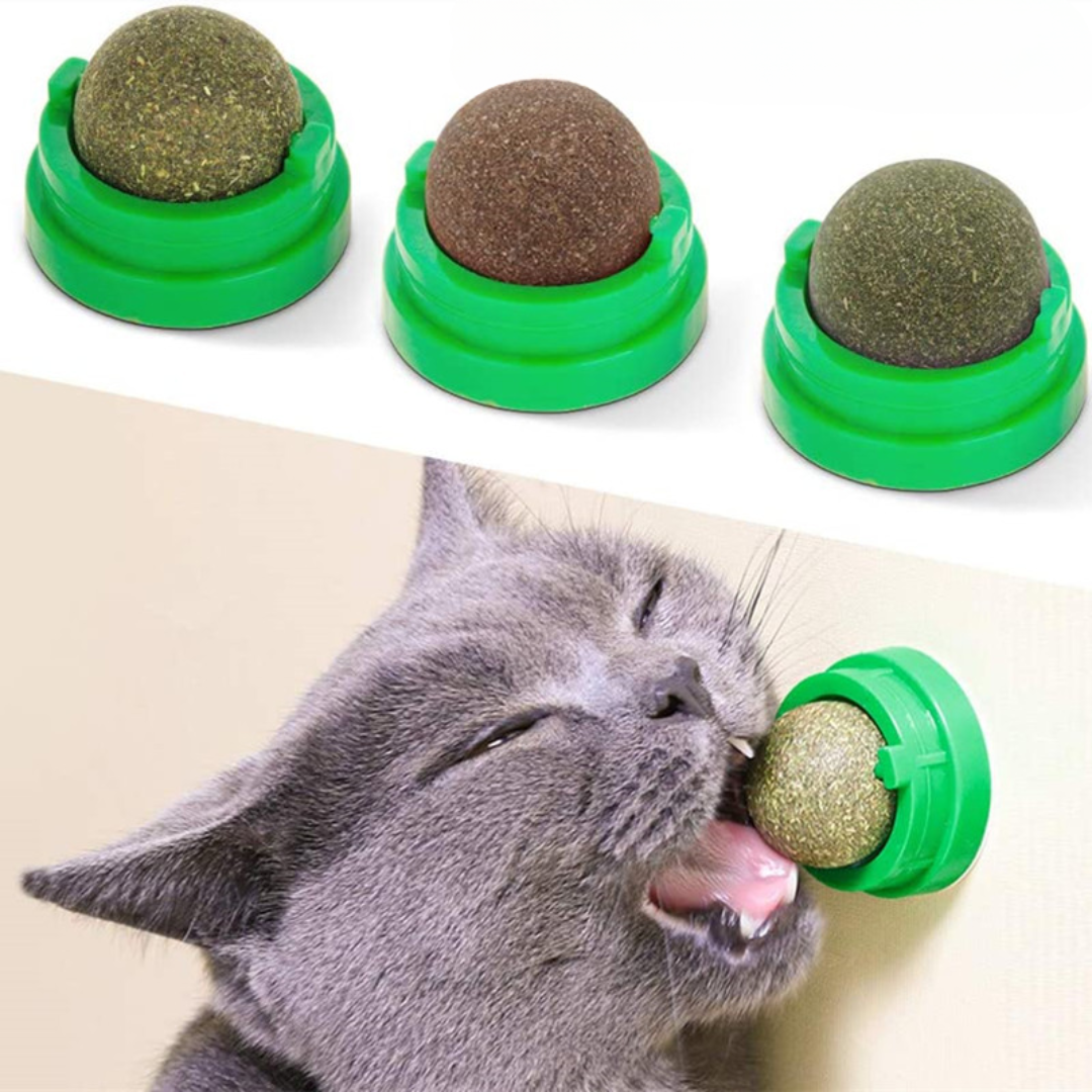 Round Spinning Catnip Treats Ball Toys - Cat Toys - DINIBLO 