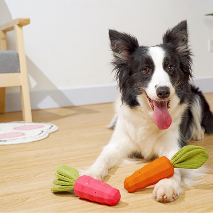 Dog Carrot Crinkle Paper Squeaker Rubber Toys - Dog Toys - DINIBLO 