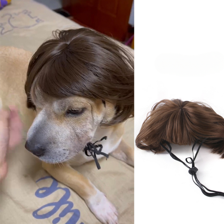 Pet Hair Wig Funny Costume - Dog Apparel - DINIBLO 