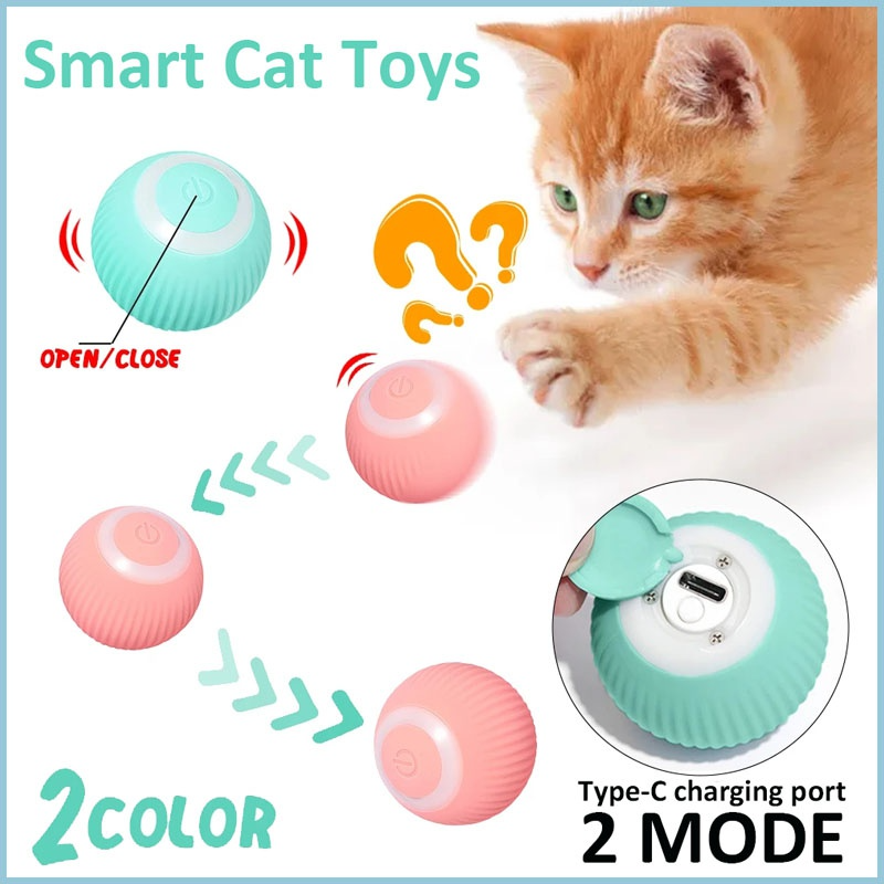 Cat Automatic Rolling Ball - Cat Toys - DINIBLO 