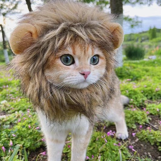 Cute Lion Mane Cat Costume Wig - Cat Apparel - DINIBLO 