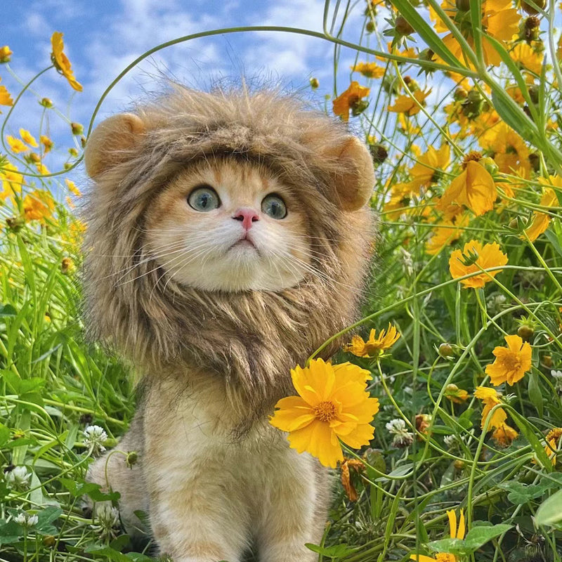 Cute Lion Mane Cat Costume Wig - Cat Apparel - DINIBLO 