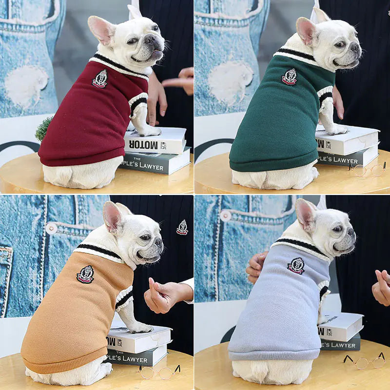 Irresistible College Style Warm Dog Clothes - Pet Fashion Coutre - DINIBLO 