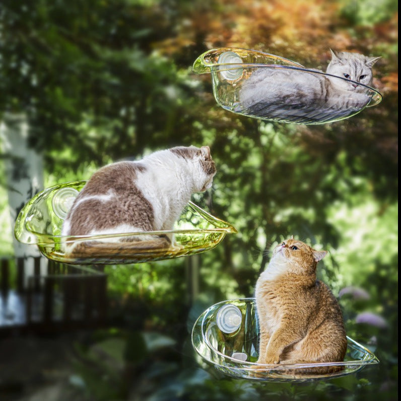 Cat Clear Hammock Window Cat Bed - Cat Beds - DINIBLO 