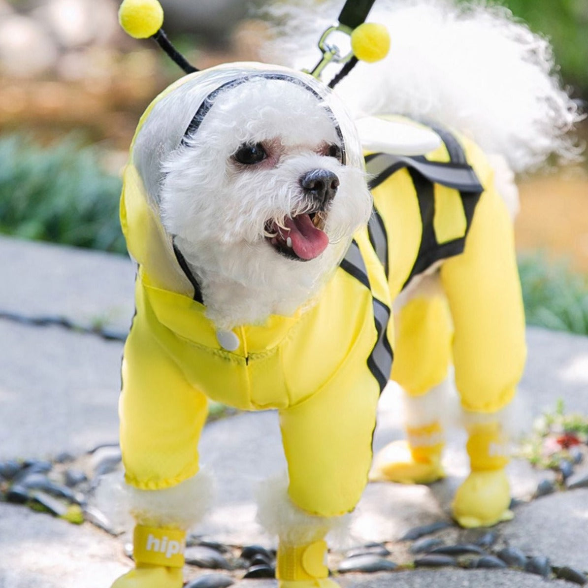 Puppy Dog Pet Raincoat Yellow Bee Cute - Dog Apparel - DINIBLO 