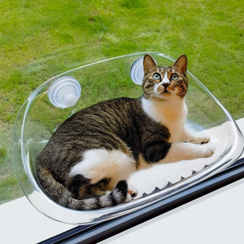 Cat Clear Hammock Window Cat Bed - Cat Beds - DINIBLO 