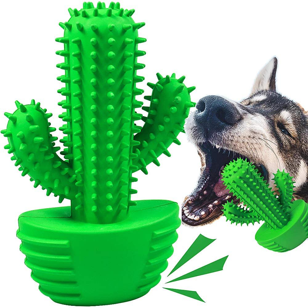 Cactus Dog Toothbrush - Dog Toys - DINIBLO 