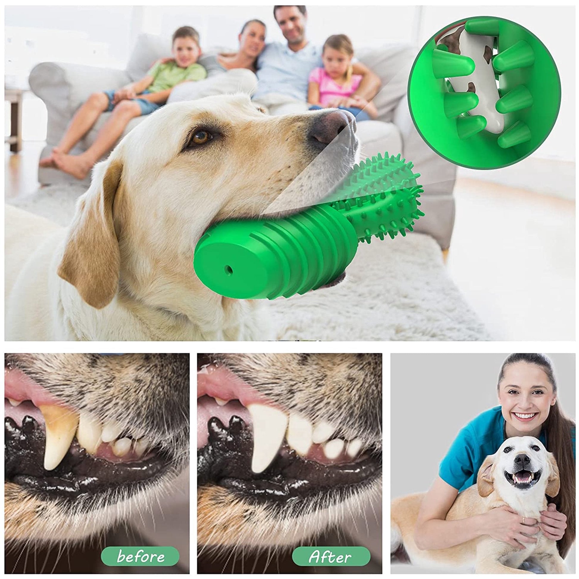 Cactus Dog Toothbrush - Dog Toys - DINIBLO 