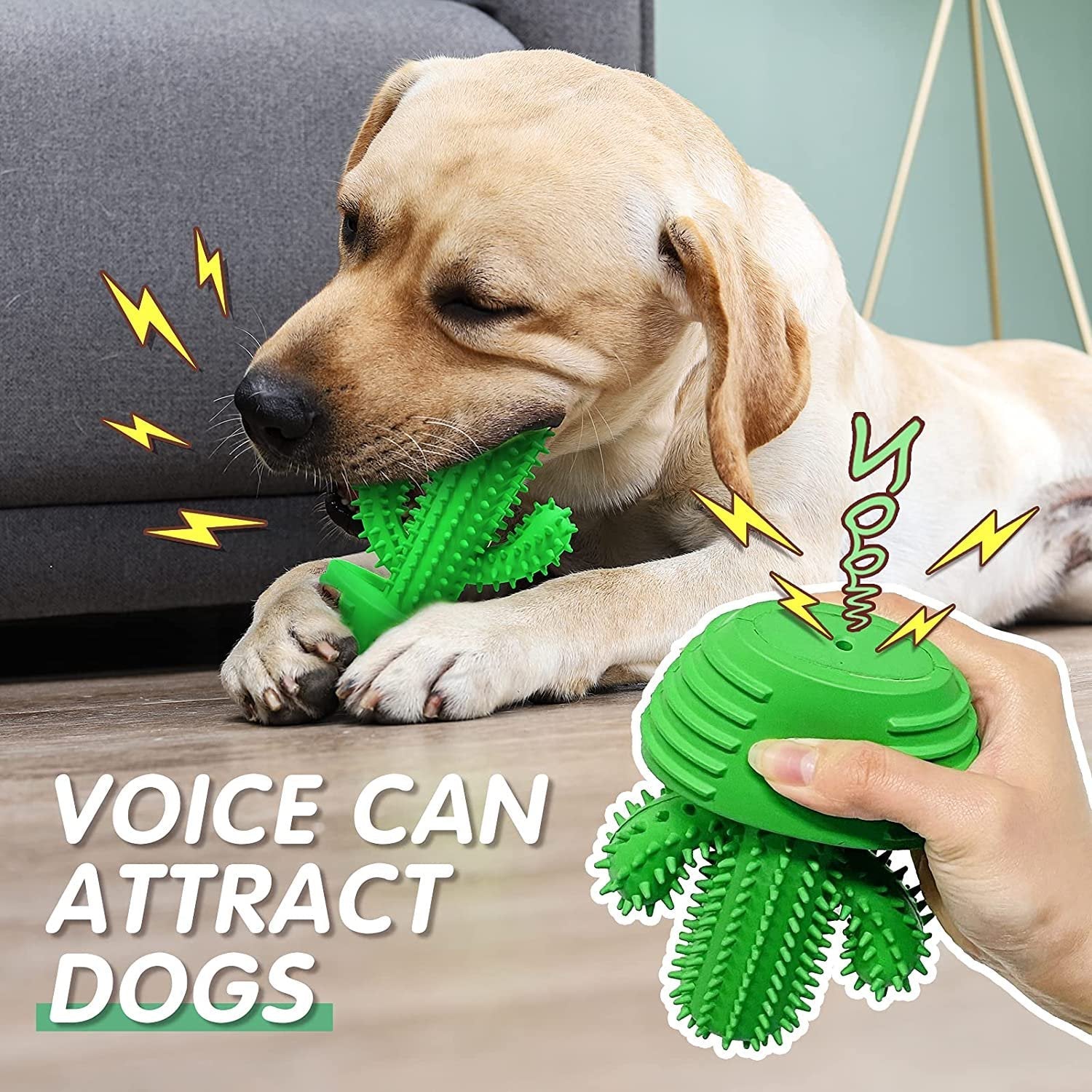 Cactus Dog Toothbrush - Dog Toys - DINIBLO 