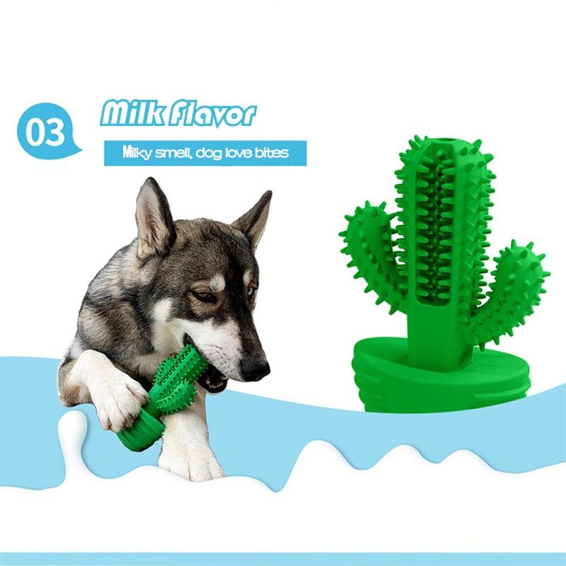 Cactus Dog Toothbrush - Dog Toys - DINIBLO 