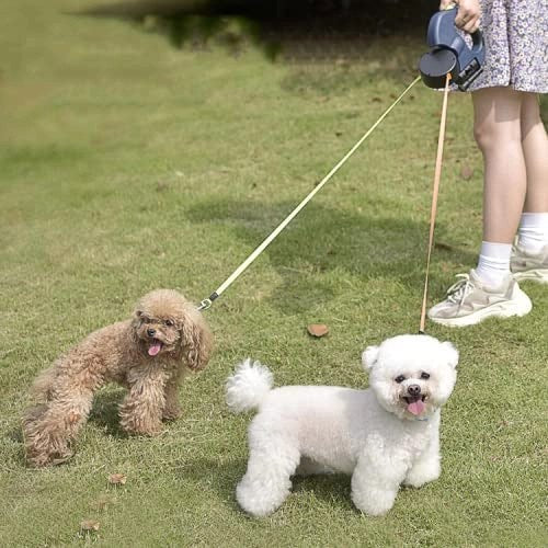 Retractable Dual Dog Leash - Pet Leashes - DINIBLO 