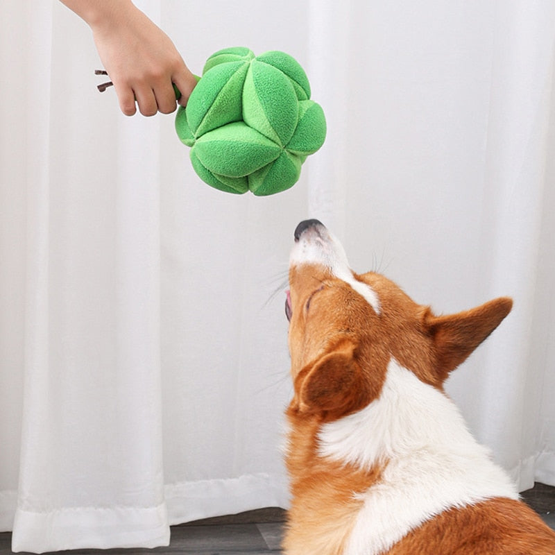 Pet Snuffle Ball Dog Squeaky Toys - Dog Toys - DINIBLO 