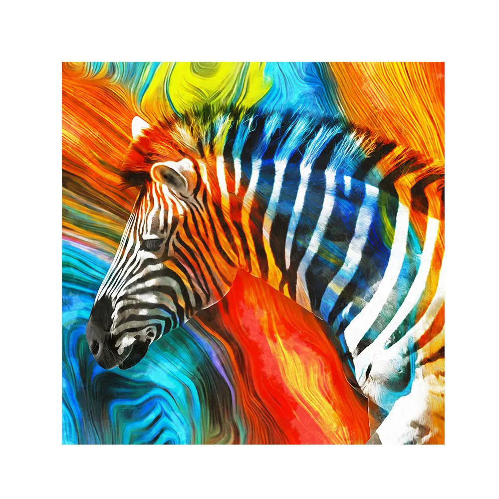 Zebra Canvas -  - DINIBLO 