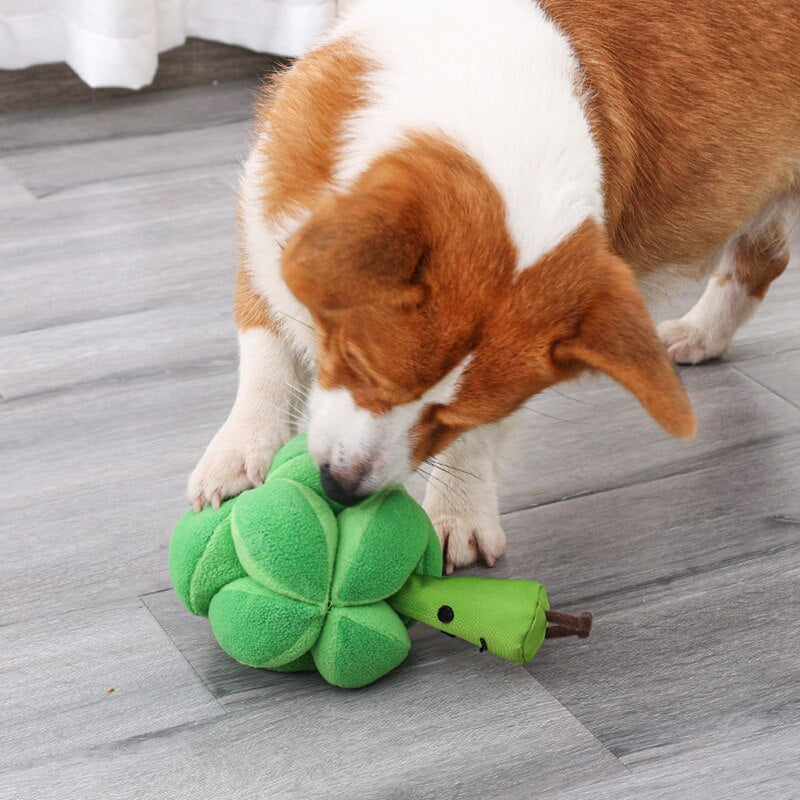 Pet Snuffle Ball Dog Squeaky Toys - Dog Toys - DINIBLO 