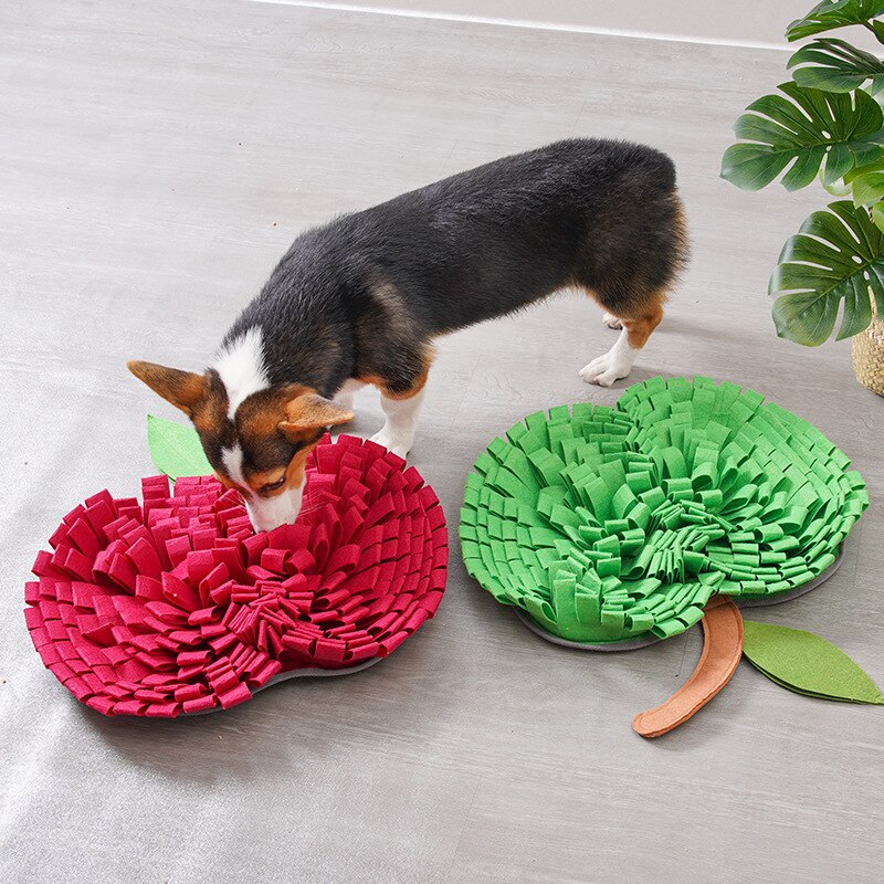 Fruit Fleece Dog Snuffle Mat - Dog Toys - DINIBLO 