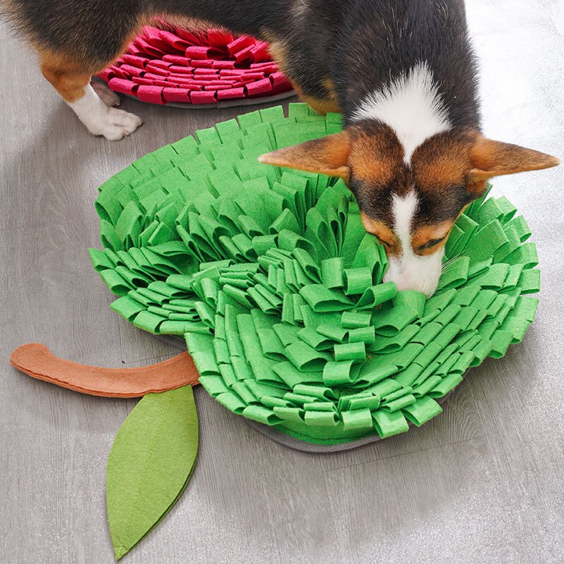 Fruit Fleece Dog Snuffle Mat - Dog Toys - DINIBLO 