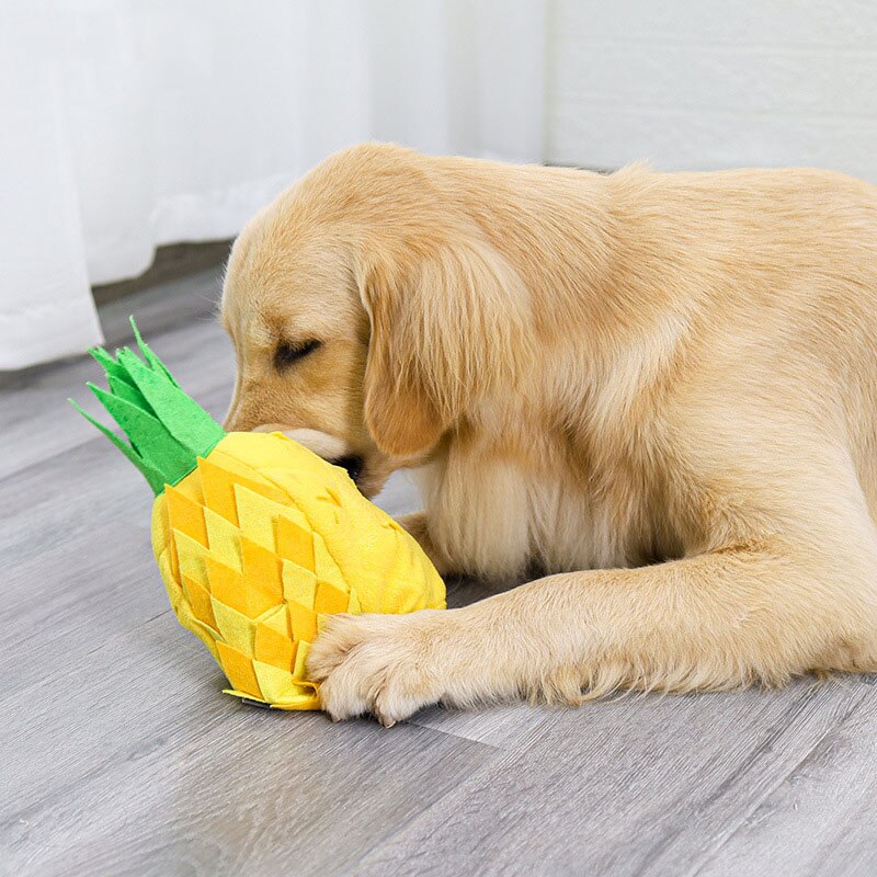 Pineapple Plush Squeak Dog Snuffle Toy - Dog Toys - DINIBLO 