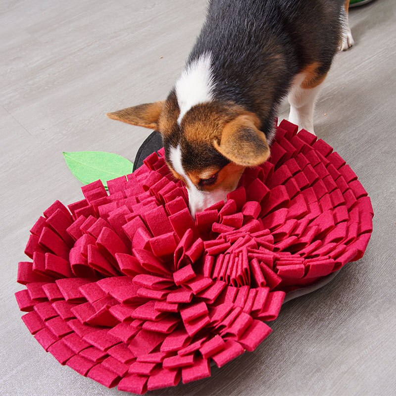 Fruit Fleece Dog Snuffle Mat - Dog Toys - DINIBLO 