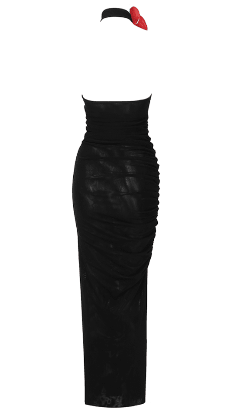 Black Translucent Maxi Dress -  - DINIBLO 