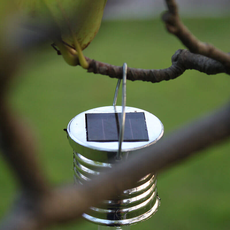 Solar Acrylic Outdoor Decorative Light - Outdoor Decorative Light - DINIBLO 