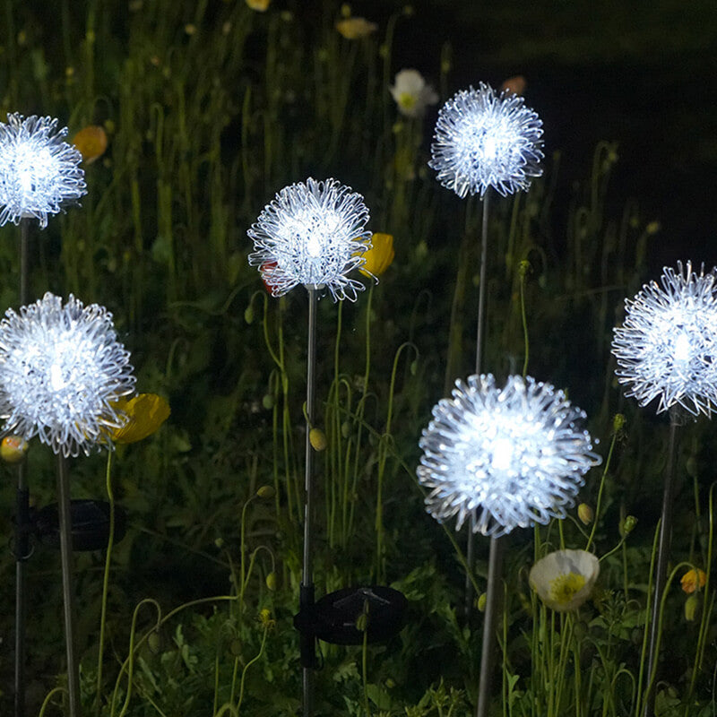 Solar Dandelion Outdoor Decorative Light - Outdoor Decorative Light - DINIBLO 