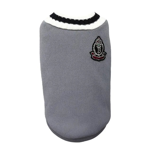 Irresistible College Style Warm Dog Clothes - Pet Fashion Coutre - DINIBLO 