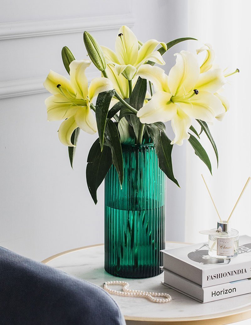 Modern Nordic Style Cylinder Clear Glass Flower Vases - Home Decor > Home Accessories > Vases - DINIBLO 