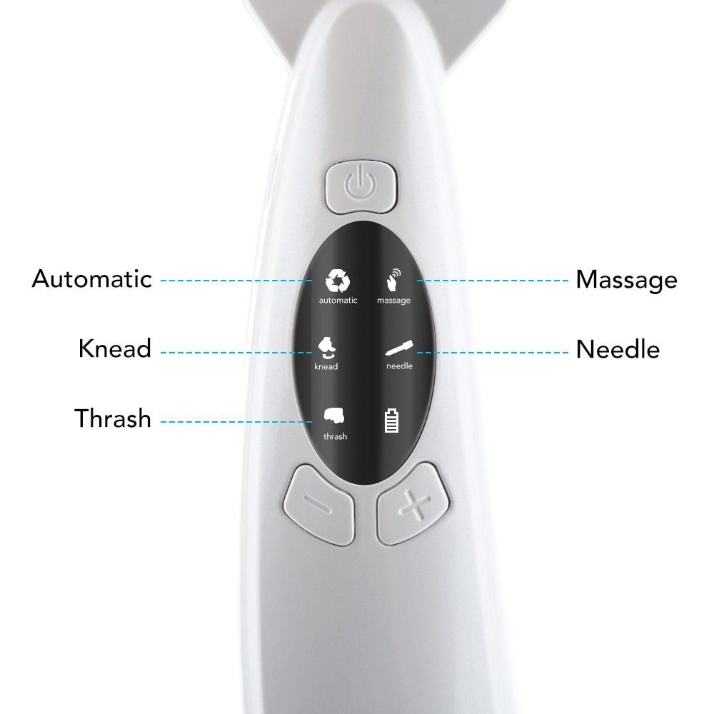 Facial Lifting EMS Massage Device with LED Photon Therapy Face Slimming Vibration Massage - Slimming Devices - DINIBLO 