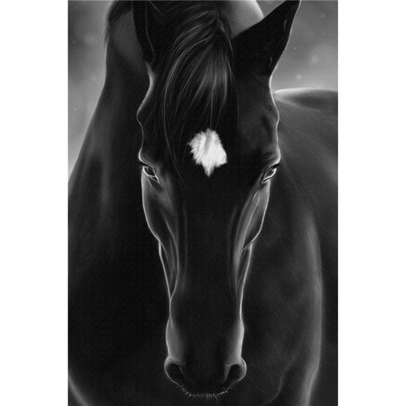 Horse Canvas - 0 - DINIBLO 