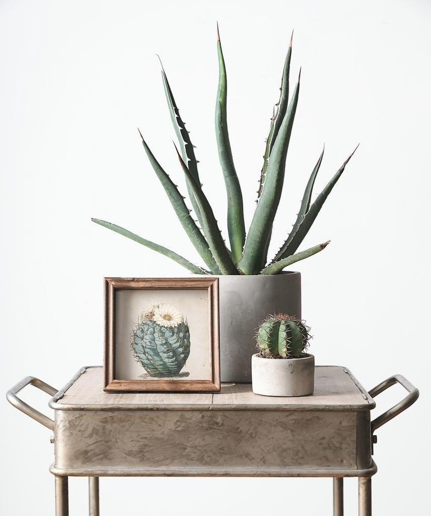 Wooden Cactus Frame Art - Home Decor > Home Accessories > Picture Frames - DINIBLO 