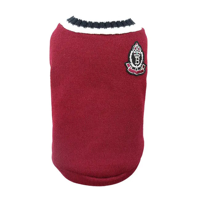 Irresistible College Style Warm Dog Clothes