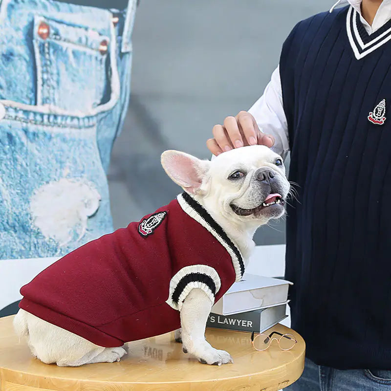 Irresistible College Style Warm Dog Clothes - Pet Fashion Coutre - DINIBLO 